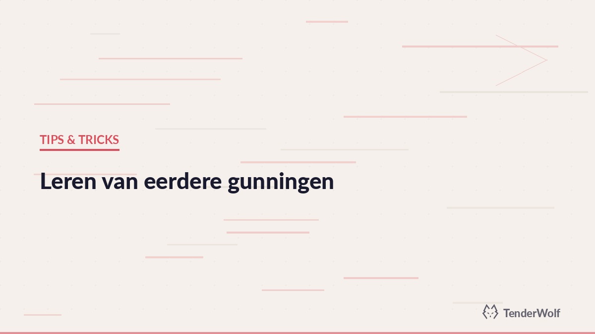 Bidmanagement bij internationale aanbestedingen