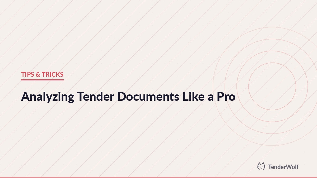 Analysis of tender documents from public procurement