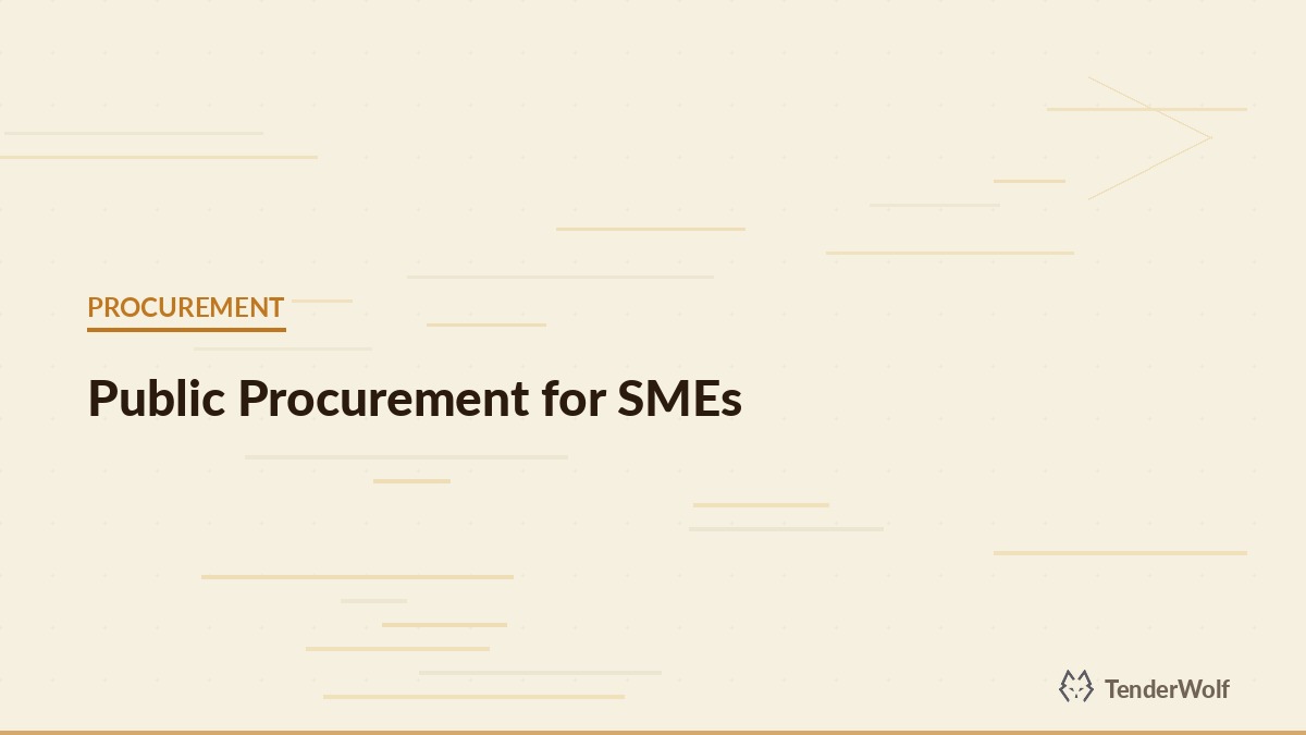 Entrepreneur looking at growth opportunities in public procurement