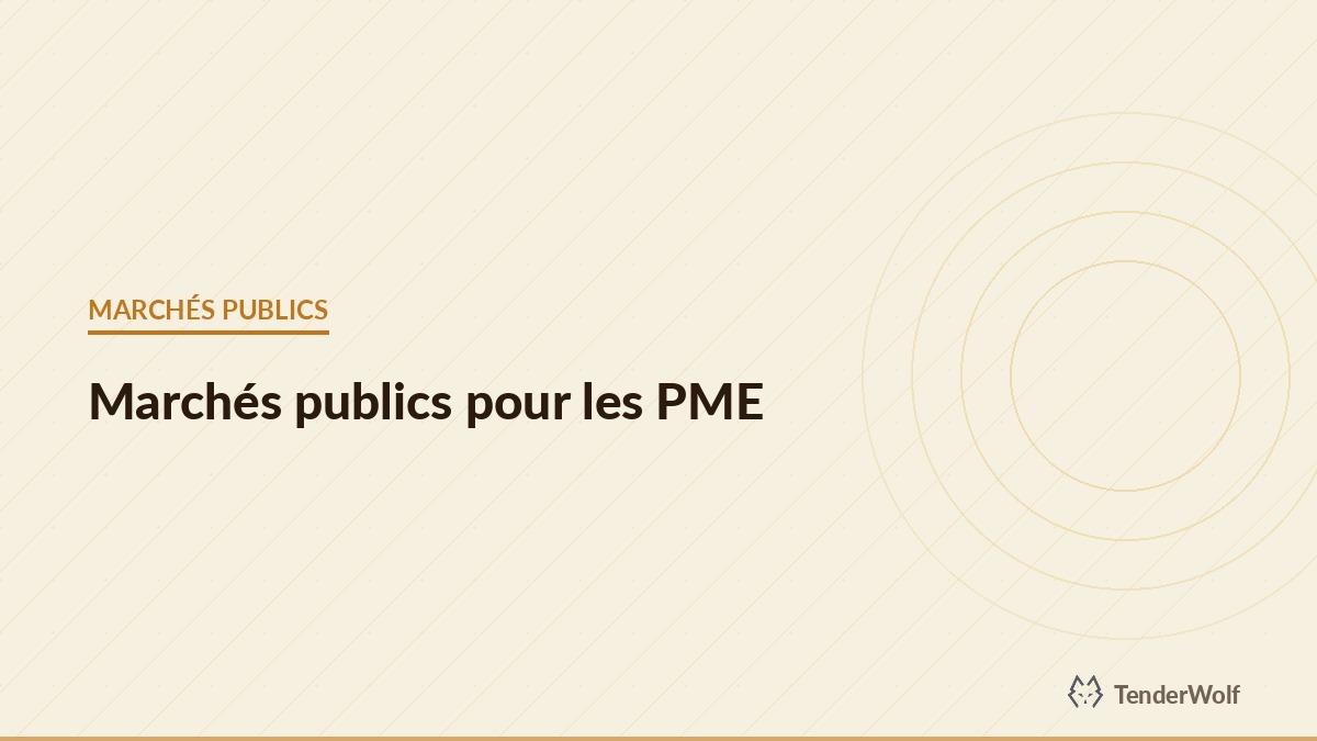 Entrepreneur regardant les opportunités de croissance dans les marchés publics