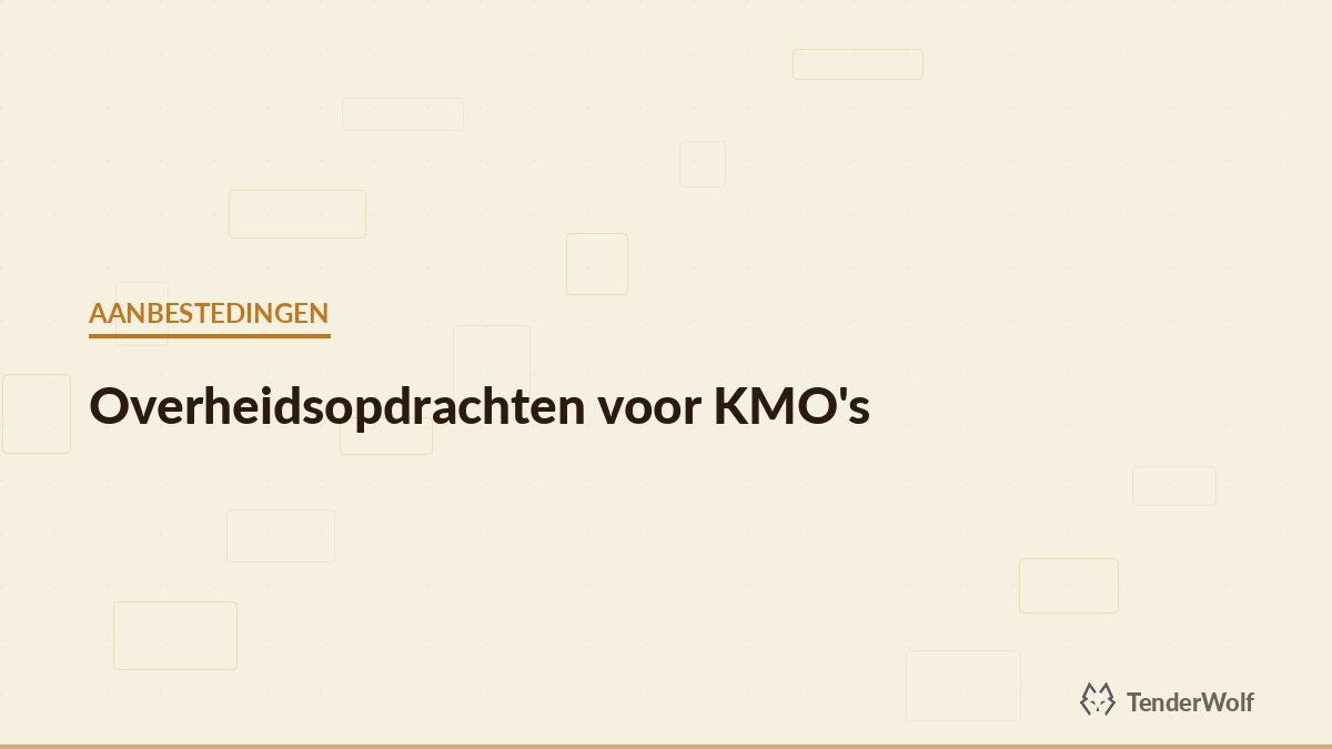 Grensoverschrijdende aanbestedingskansen voor Nederlandse bedrijven