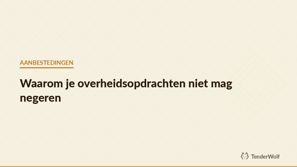 Waarom overheidsopdrachten belangrijk zijn voor ondernemers